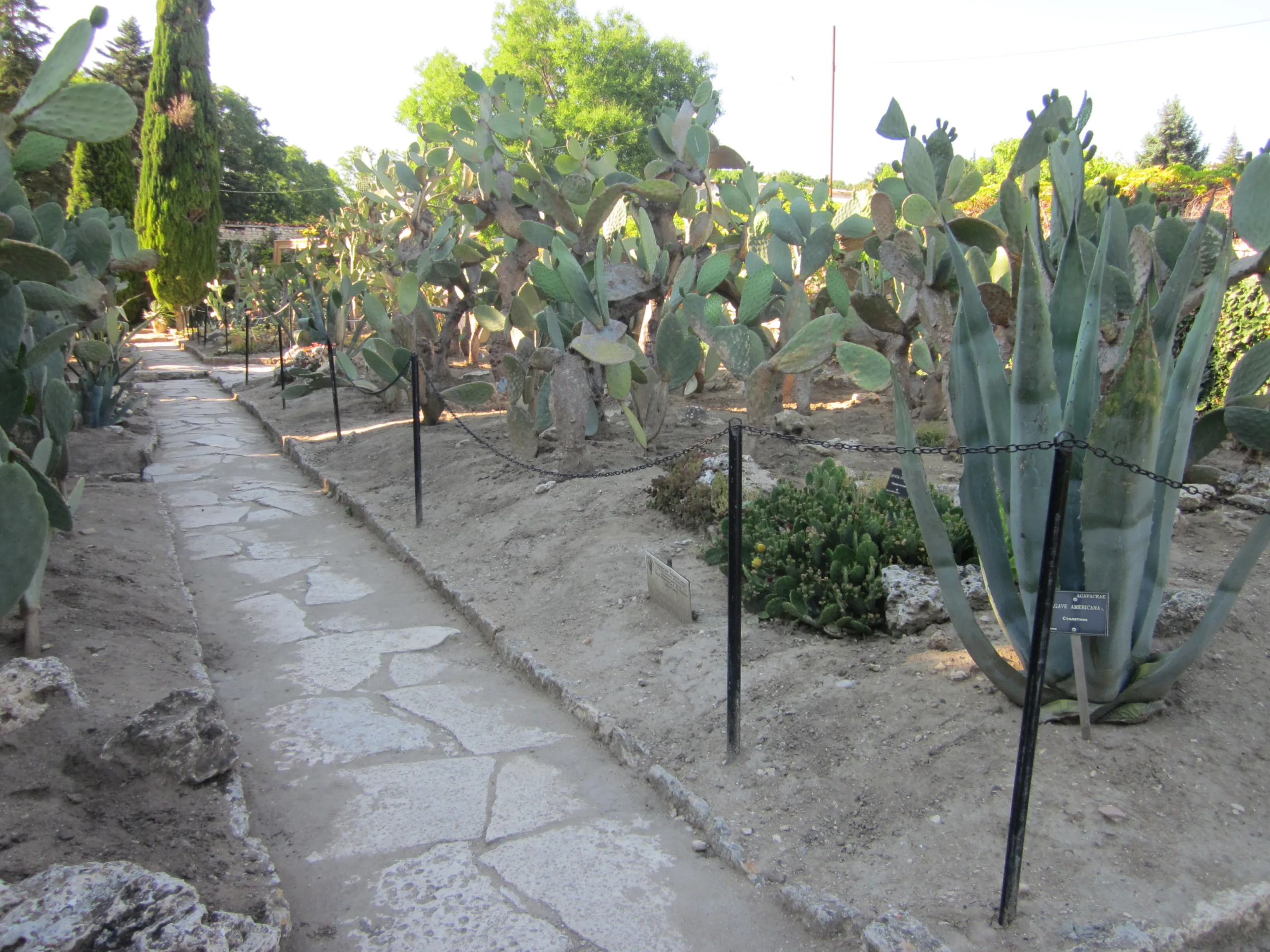 width=