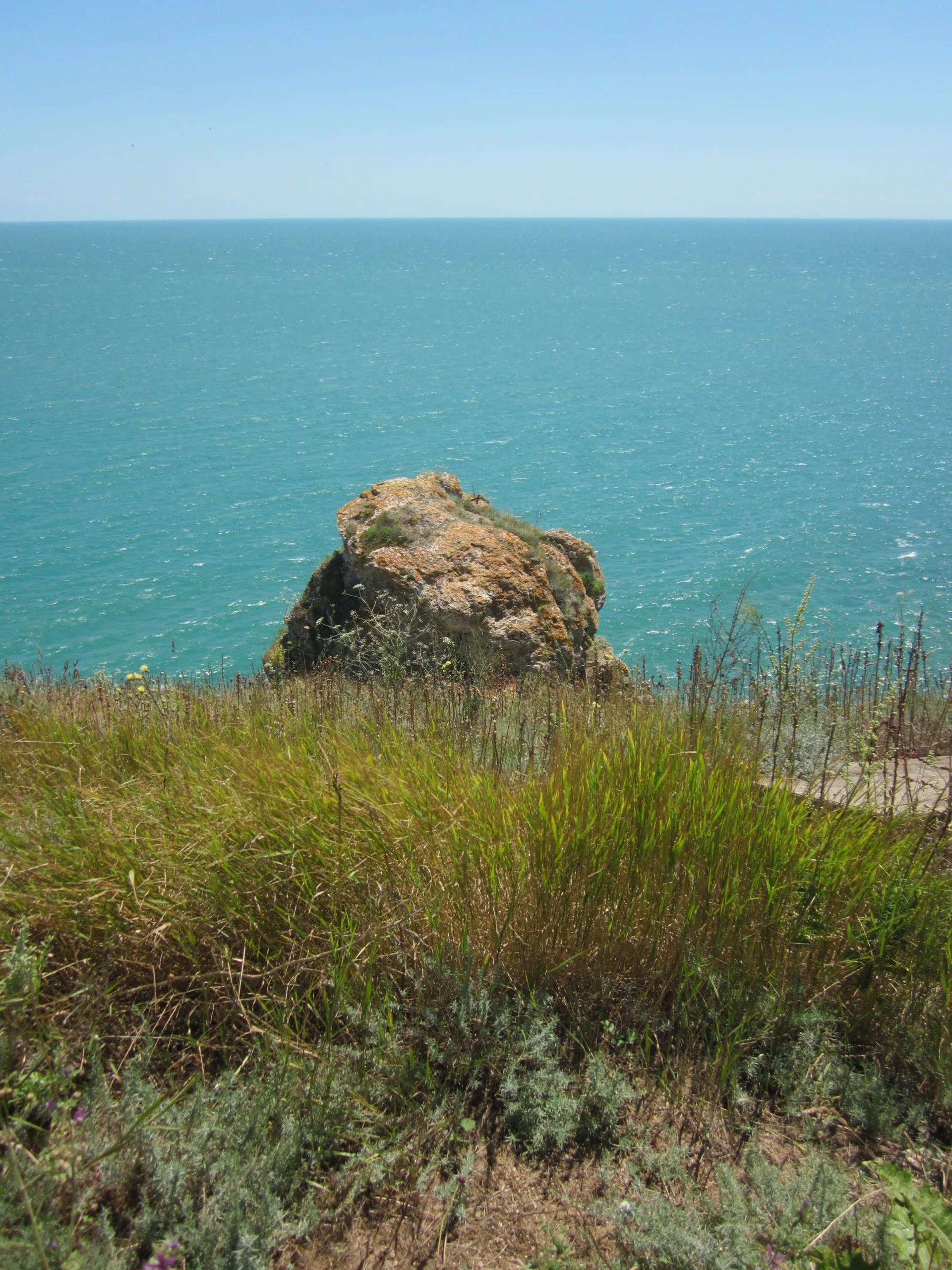 width=