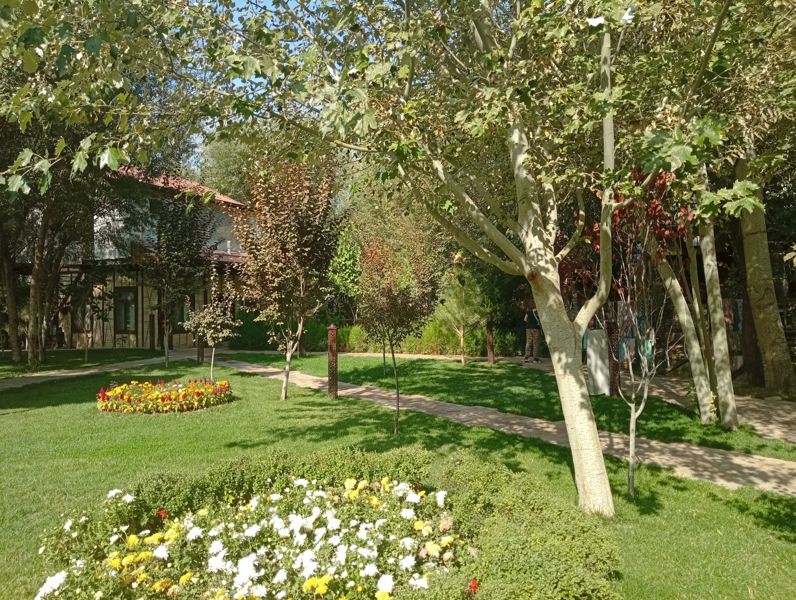 width=
