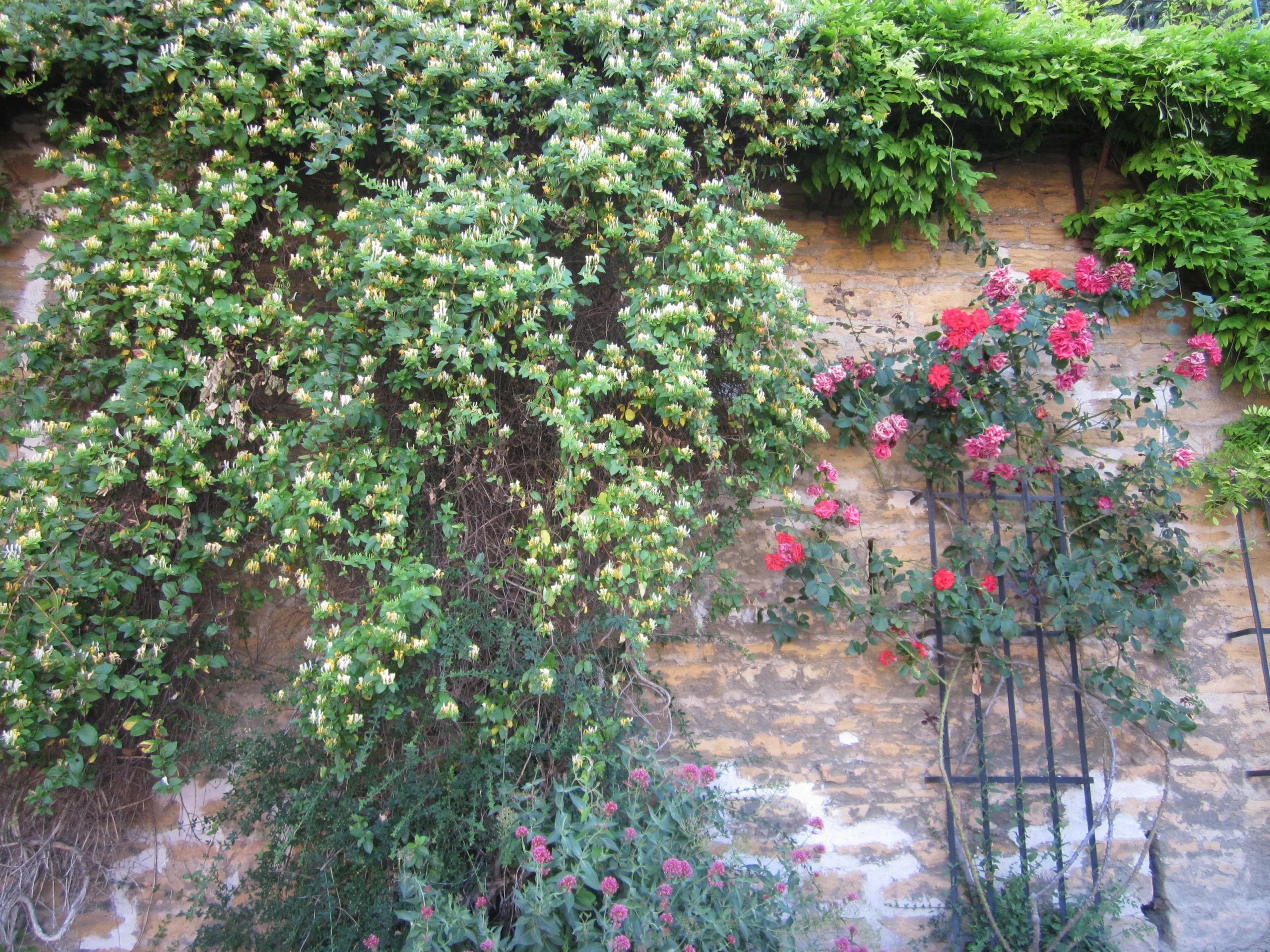 Jardin du Rosaire, Lyon