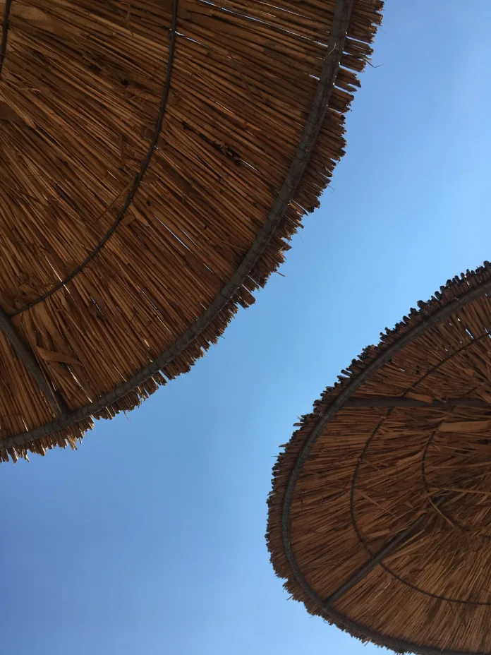 IMG_1096-scaled Vacanta in insula Lesbos