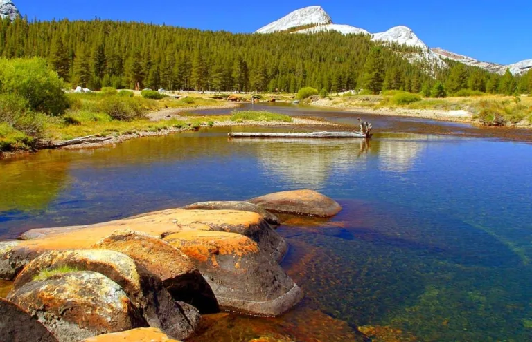Parcul National Yosemite