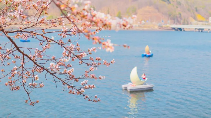 coreea-de-sud-primavara Primavara in Coreea de Sud