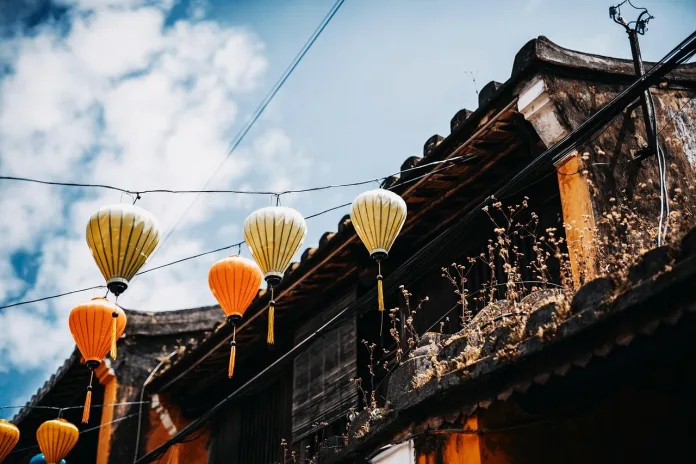 vietnam-felinare Felinare Vietnam