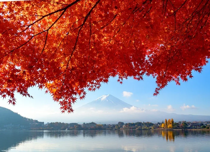 japonia-momiji Japonia Momiji