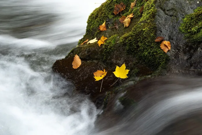 japonia-peisaj-toamna Peisaj de toamna din Japonia