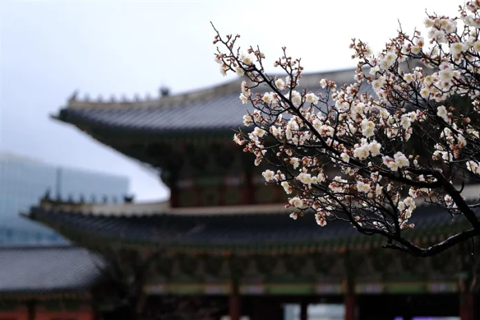 coreea-de-sud-palatul-gyeongbokgung Palatul Gyeongbok, Seoul