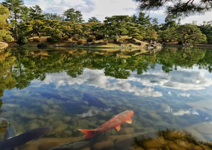 japonia-takamatsu-gradina Gradina din Takamatsu, Japonia