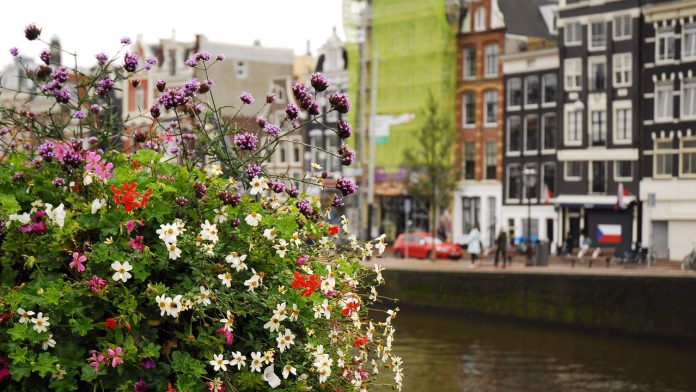 olanda-amsterdam-flori Amsterdam, flori