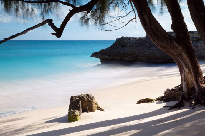 barbados-plaja-tropicala Plaja tropicala, Barbados